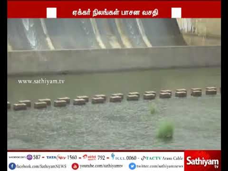 விவசாயிகளின் கோரிக்கையடுத்து அமராவதி அணையில் இருந்து பாசனத்திற்காக தண்ணீர் திறப்பு