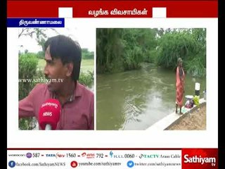 திருவண்ணாமலை : ஓலை ஆற்றினை தூர்வாராததால் விவசாய நிலத்தில் நீரில் ழூழ்கி  நெற்பயிர் சேதம்