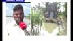 தொடர் மழை காரணமாக திருவாரூர் மாவட்டத்தில் 40 ஆயிரம் ஏக்கர் சம்பா பயிர்கள் நீரில் மூழ்கியுள்ளன
