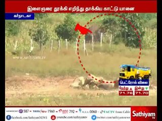 கர்நாடகம்: ஒற்றை காட்டு யானை தாக்கயதில் இளைஞர் படுகாயம்
