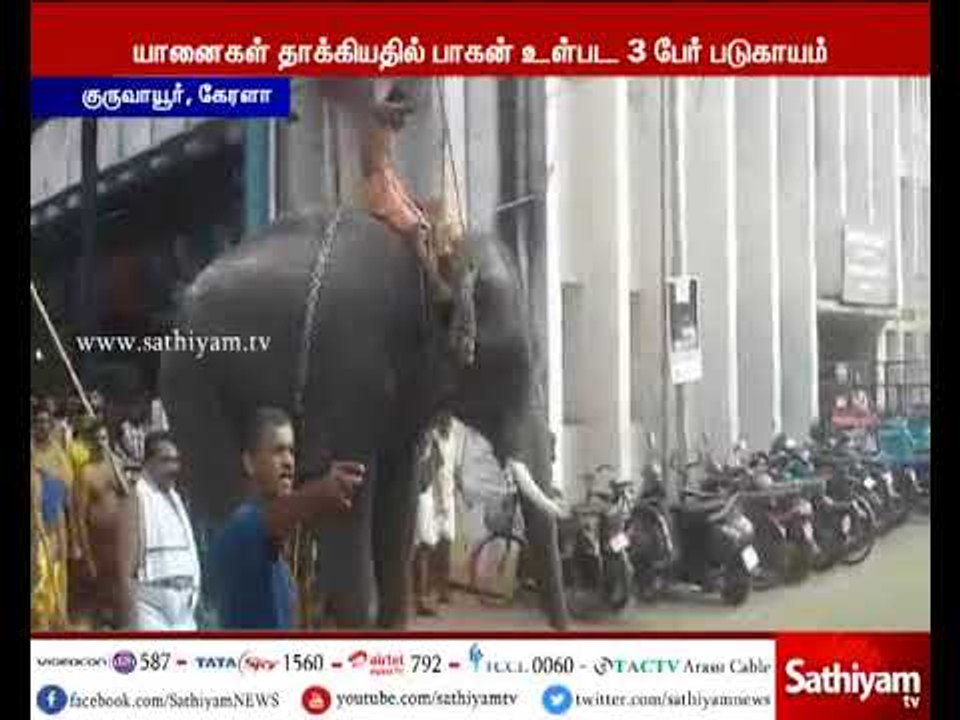 குருவாயூர் கோவிலில் மூன்று யானைகள் மதம் பிடித்து தாக்கியதில், மூன்று பேர் மருத்துவமனையில் அனுமதி