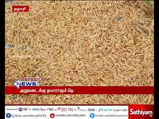 பருவமழை காரணமாக, கடந்த ஆண்டை விட நெல் மகசூல் அதிகரிக்க வாய்ப்பு : விவசாயிகள் நம்பிக்கை