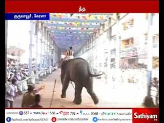 கேளராவில் மதம் பிடித்த யானையால் அச்சம் - சுற்றியுள்ளவர்களை தாக்க முற்பட்டதால் பதற்றம்