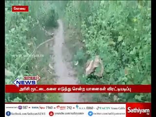 ரேசன் கடையை உடைத்து அரிசி மூட்டைகளை எடுத்து சென்ற 4 யானைகள்