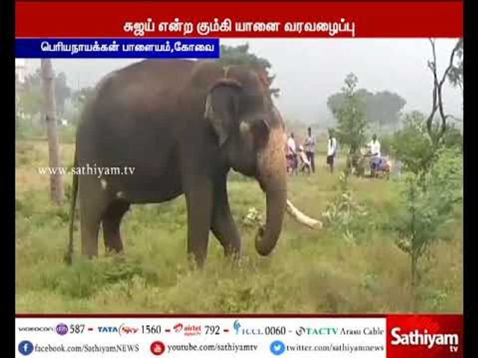 காட்டு யானை ஊருக்குள் வராமல் தடுக்க சுஜய் என்ற...