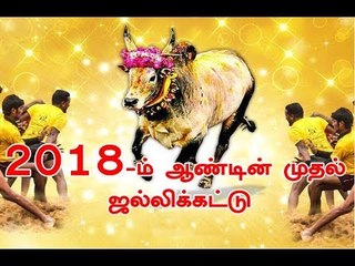 2018-ம் ஆண்டின் முதல் ஜல்லிக்கட்டு