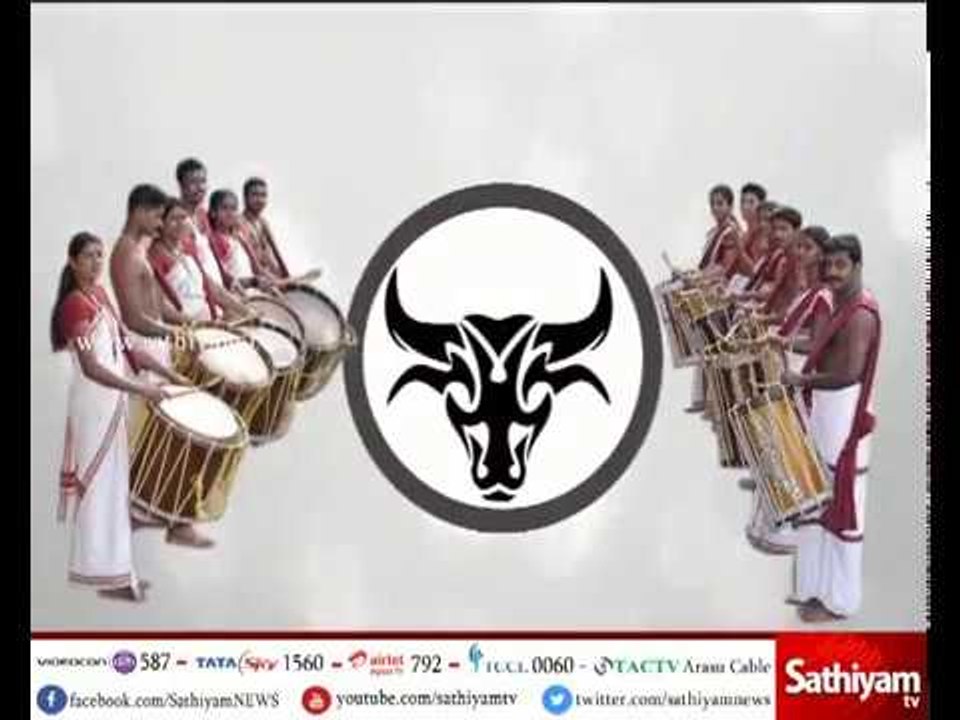 களம் காண தயாராகும் காளைகள் | Jallikattu | Kangayam Kalai