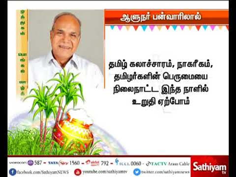 தமிழக ஆளுநர் பன்வாரிலால் புரோஹித் பொங்கல் திருநாள் வாழ்த்து தெரிவித்துள்ளார்.