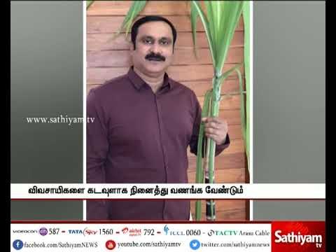 பாமக இளைஞரணி தலைவர் அன்புமணி ராமதாஸ் பொங்கல் பண்டிகை வாழ்த்து