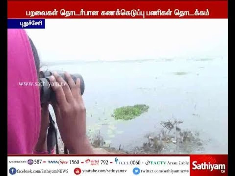 புதுச்சேரி ஏரி பகுதிகளில் பறவைகள் கணக்கெடுப்பு