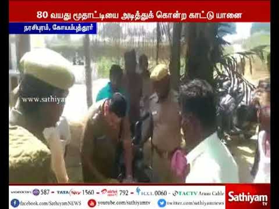 கோவை : 80 வயது மூதாட்டியை யானை அடித்துக் கொன்ற...