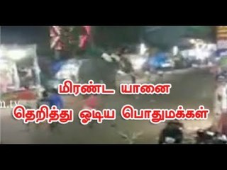 மிரண்ட யானை – தெறித்து ஓடிய பொதுமக்கள்