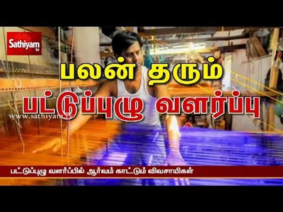 பலன் தரும் பட்டுப்புழு வளர்ப்பு