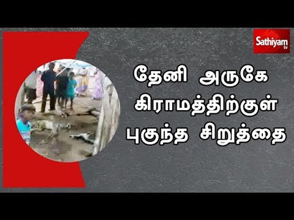 தேனி அருகே கிராமத்திற்குள் புகுந்த சிறுத்தை