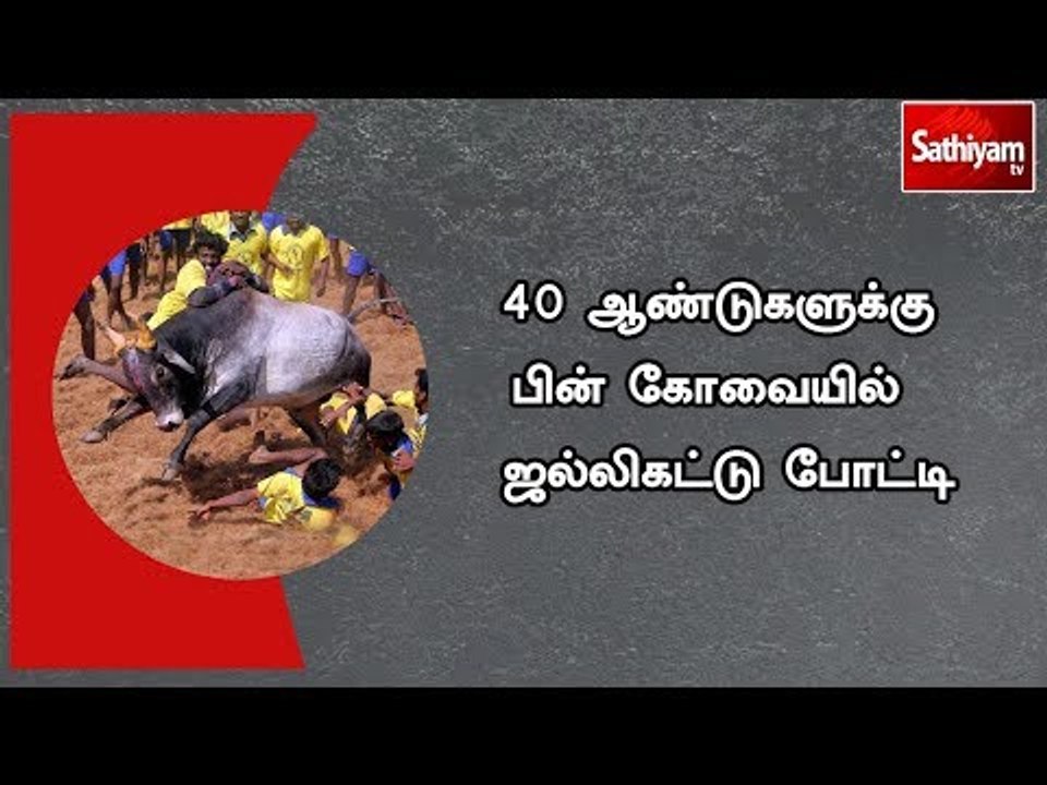 40 ஆண்டுகளுக்கு பின் கோவையில்  ஜல்லிகட்டு போட்டி