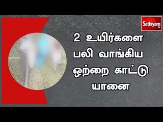 2 உயிர்களை பலி வாங்கிய ஒற்றை காட்டு யானை