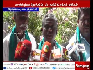 அனைத்து கட்சி தலைவர்களும் கூடி பிரதமரை சந்தித்து காவிரி நீரை வலியுறுத்த வேண்டும்  - பி.ஆர்.பாண்டியன்