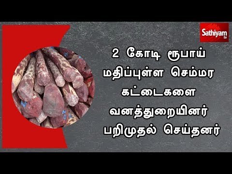2 கோடி ரூபாய் மதிப்புள்ள செம்மர கட்டைகளை வனத்துறையினர் பறிமுதல் செய்தனர்