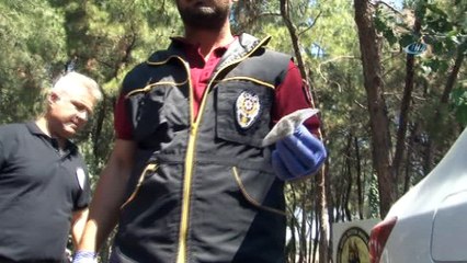 Narkotik köpekleri zehir tacirlerine geçit vermiyor
