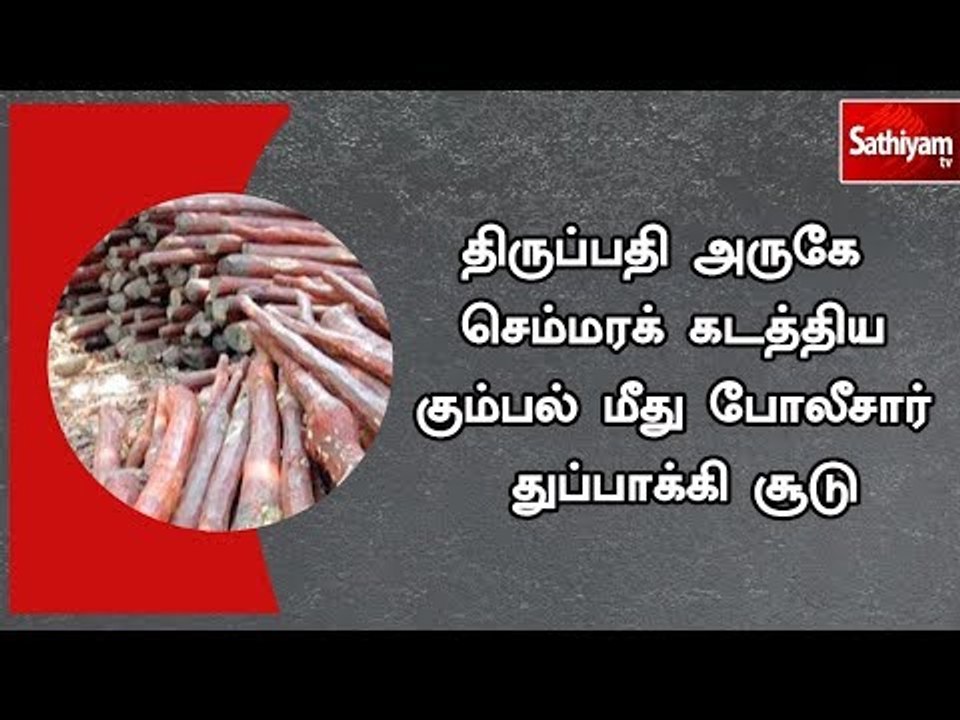 திருப்பதி  அருகே  செம்மரக் கடத்திய கும்பல் மீது போலீசார் துப்பாக்கி சூடு