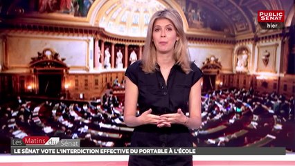 le Sénat vote l'interdiction effective du portable à l'école - Les matins du Sénat (17/07/2018)