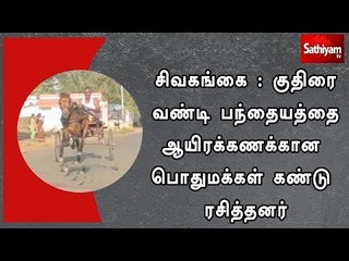 சிவகங்கை : குதிரை வண்டி பந்தையத்தை ஆயிரக்கணக்கான பொதுமக்கள் கண்டு ரசித்தனர்
