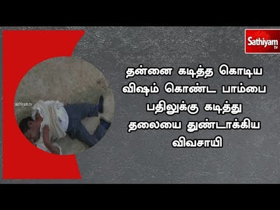 தன்னை கடித்த கொடிய விஷம் கொண்ட பாம்பை பதிலுக்கு கடித்து தலையை துண்டாக்கிய விவசாயி