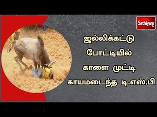 ஜல்லிக்கட்டு போட்டியில் காளை முட்டி காயமடைந்த டி.எஸ்.பி