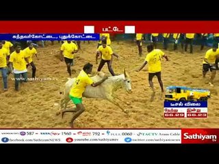 ஜல்லிக்கட்டு போட்டி 700க்கும் மேற்பட்ட காளைகள் கலந்து கொண்டன