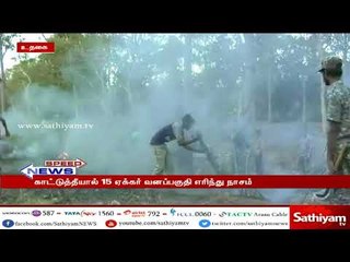 உதகை அருகே குடியிருப்புக்குள் வனவிலங்குகள் வர தொடங்கியதால் பொதுமக்கள் அச்சம்