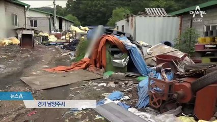 오물투성이 한약재…가짜 인증마크 붙여 판매