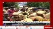 காவிரி உரிமை மீட்புப்போர்: சென்னை சாஸ்திரி பவன் மீது தாக்குதல் நடத்திய மே 17 இயக்கத்தினர் கைது