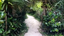 沖縄風景 秘密のビーチの入り口