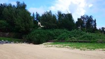 沖縄風景 人気のないビーチで360度カメラテスト撮影の合間にXPERIAZ4で周囲を撮影