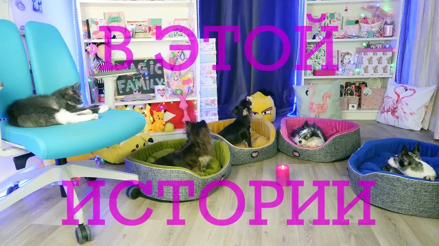 ОСТАЛИСЬ ОДНИ ДОМА НОЧЬЮ! СТРАШНЫЕ ИСТОРИИ НА НОЧЬ ОТ ВОЛШЕБНЫХ ПИТОМЦЕВ