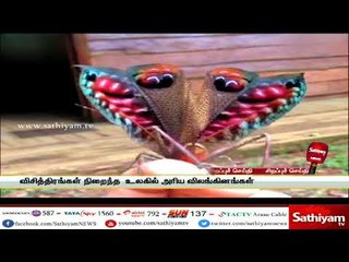 இதுவரை பார்க்காத விசித்திர விலங்கினங்கள்