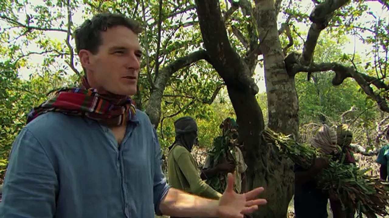Dan_Snow_collects_honey_-_Seven_Wonders_of_the_Commonwealth__Preview_-_BBC_One
