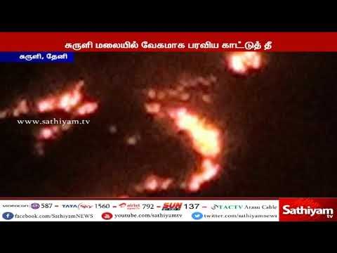 சுருளி மலையில் வேகமாக பரவிய காட்டுத் தீ : அரியவகை மூலிகை, மரங்கள் எரிந்து சேதம்