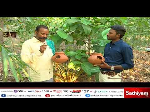 உழவன் : இயற்கை விவசாயி மாசிலாமணி உடன் பசுமை நிறைந்த ஒரு சந்திப்பு | பகுதி - 2 | #Uzhavan | 29.04.18