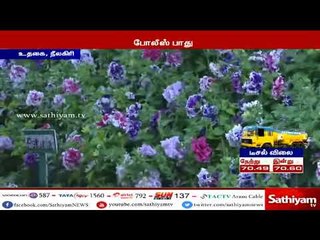 உதகையில் 122வது மலர் கண்காட்சி இன்று தொடக்கம்
