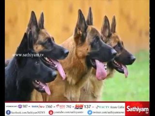 சத்தியம் சிறப்பு செய்தி: நாங்களும் HEROகள் தான்
