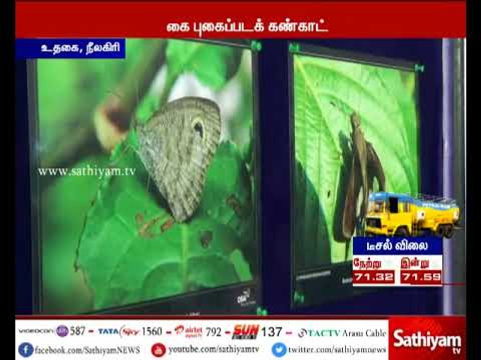 உதகை புகைப்படக் கண்காட்சியில் சுமார் 350 அரிய வகையான பட்டாம்பூச்சிகளின் புகைப்படங்கள்