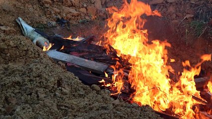 Indonésie : 300 crocodiles massacrés et incinérés, une vengeance...