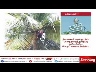 3 நிறுவனங்களுக்கு தென்னை விவசாயிகளுக்கு உதவும் 'நீரா' பானம் உற்பத்தி செய்யும் உரிமம் - முதலமைச்சர்