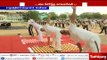 சர்வதேச யோகா தினம் - யோகா நிகழ்ச்சியில் 500-க்கும் மேற்பட்ட காவலர்கள் கலந்து கொண்டனர்
