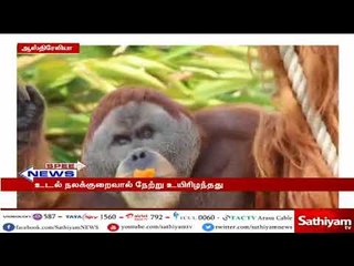 விரைவுச் செய்திகள் | #SpeedNews | 20.06.18 | #SathiyamNews