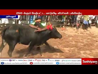 அரியலூர் : ஜல்லிக்கட்டு போட்டியில் சீறிப்பாய்ந்த காளைகளை வீரர்கள் ஆர்வமுடன் கட்டித்தழுவி அடக்கினர்.