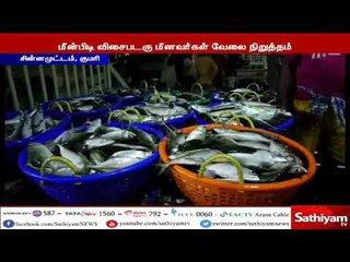 மீன்கள் குறித்த ஆய்வு, மீன்கள் தேக்கமடைந்துள்ளதால் விசைபடகு மீனவர்கள் வேலை நிறுத்தம்