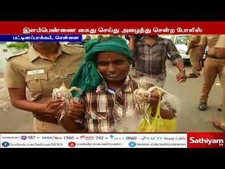 அமைச்சர் ஜெயக்குமார் வீட்டில் நண்டு விடும் போராட்டத்தில் ஈடுப்பட்ட இளம்பெண் கைது