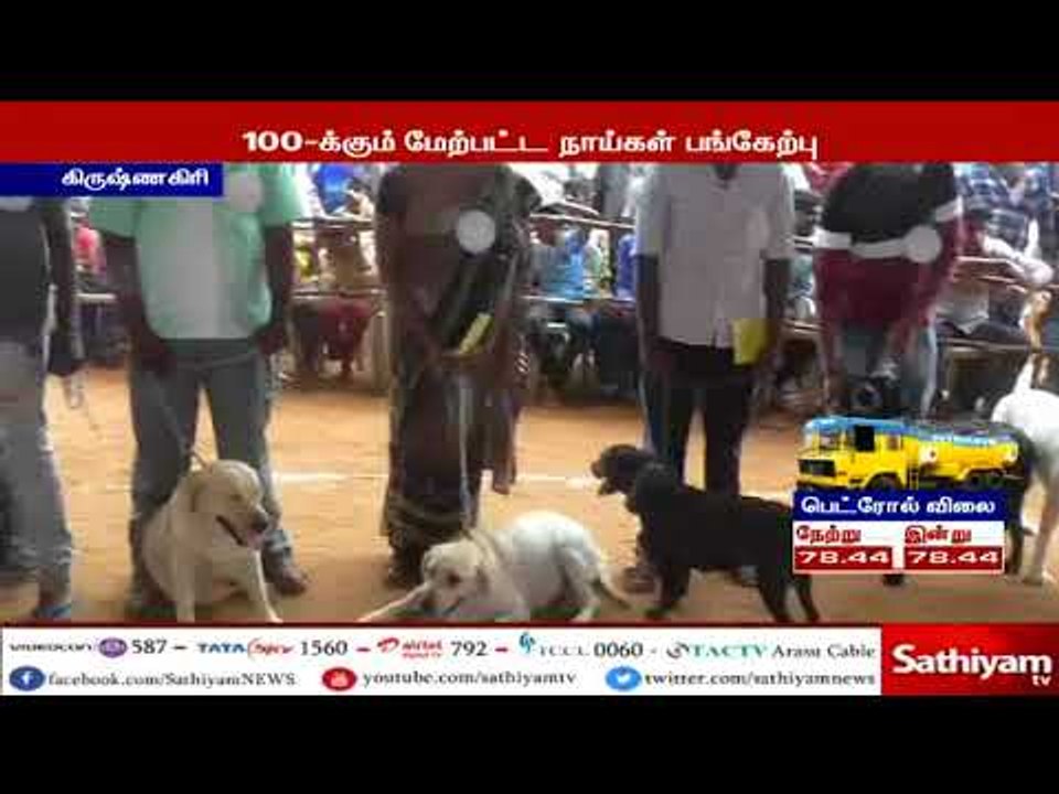 அகில இந்திய மாங்கனி விழாவில், கால்நடை துறை சார்பில் நாய்கள் கண்காட்சி